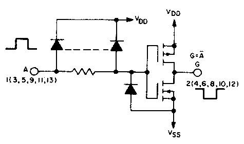 WbN_CAO(7KB)